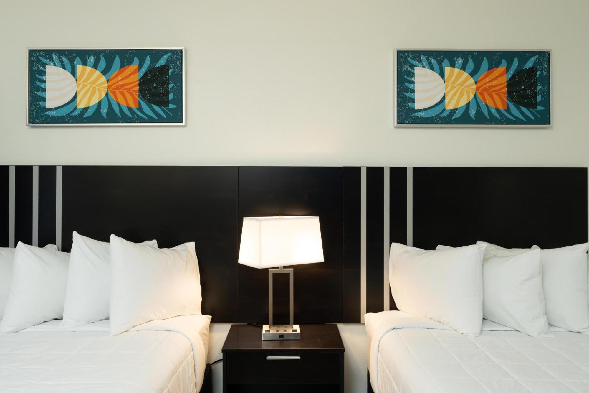 Oasis Bay Suites, Tampa, Busch Gardens, Usf エクステリア 写真