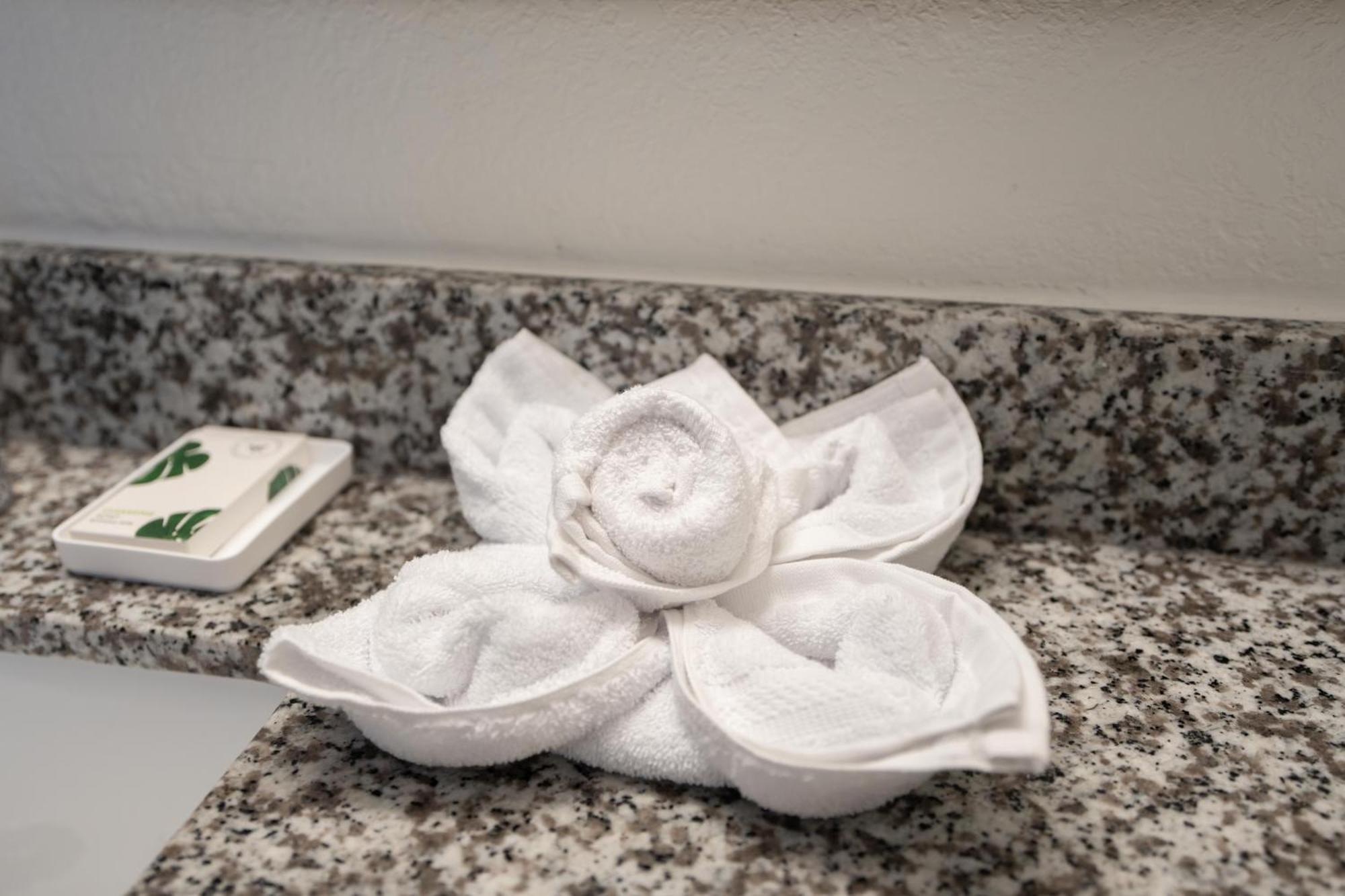 Oasis Bay Suites, Tampa, Busch Gardens, Usf エクステリア 写真