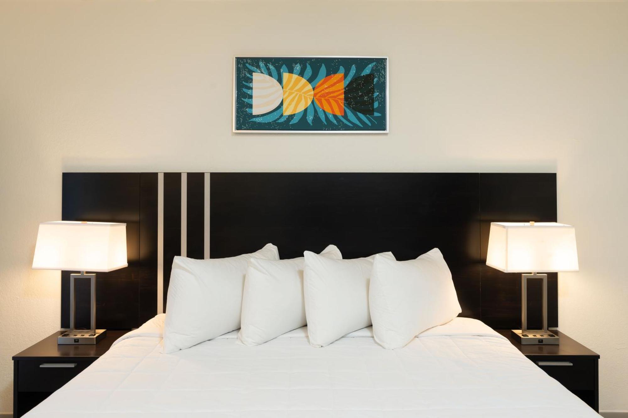 Oasis Bay Suites, Tampa, Busch Gardens, Usf エクステリア 写真