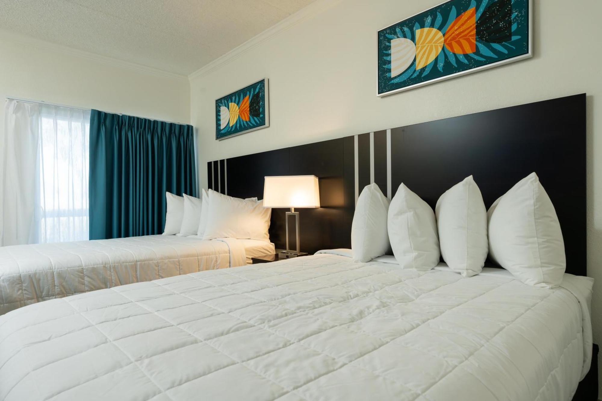 Oasis Bay Suites, Tampa, Busch Gardens, Usf エクステリア 写真